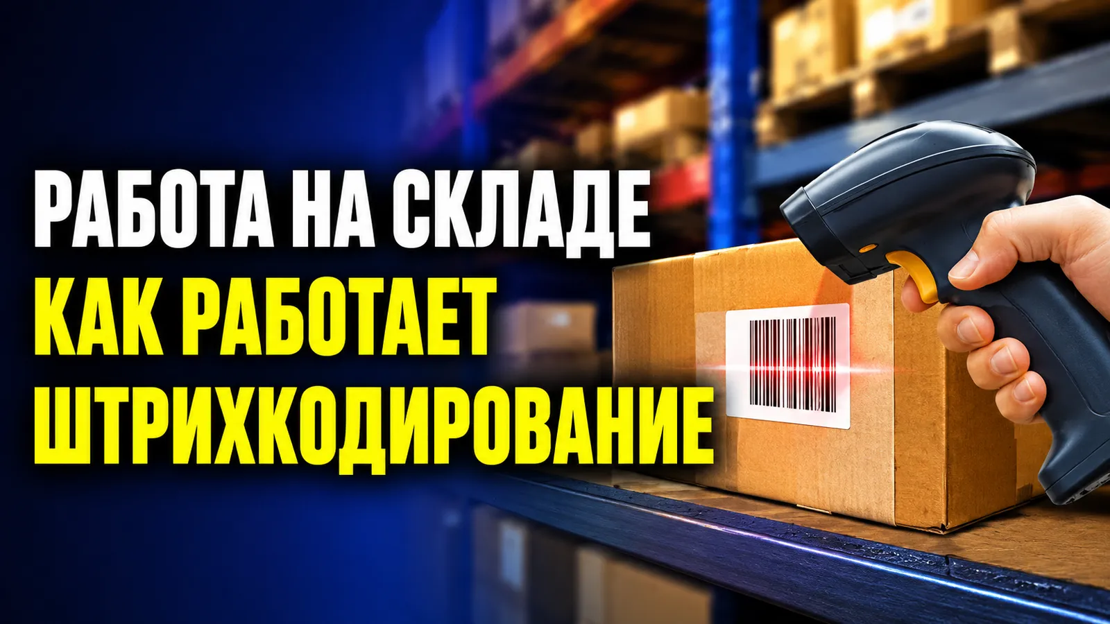 Складской учет: как устроена система штрихкодирования для новичка